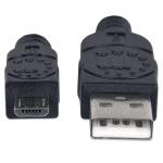 Zoom Image