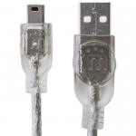 Zoom Image