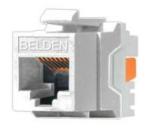 Conector Jack RJ45 CAT6  BELDEN AX101320 RJ-45 Blanco Cat 6 (AX101320)