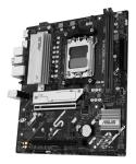 Zoom Image