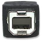 Zoom Image