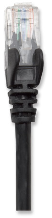 Zoom Image