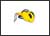 Zoom Image