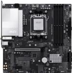 Zoom Image