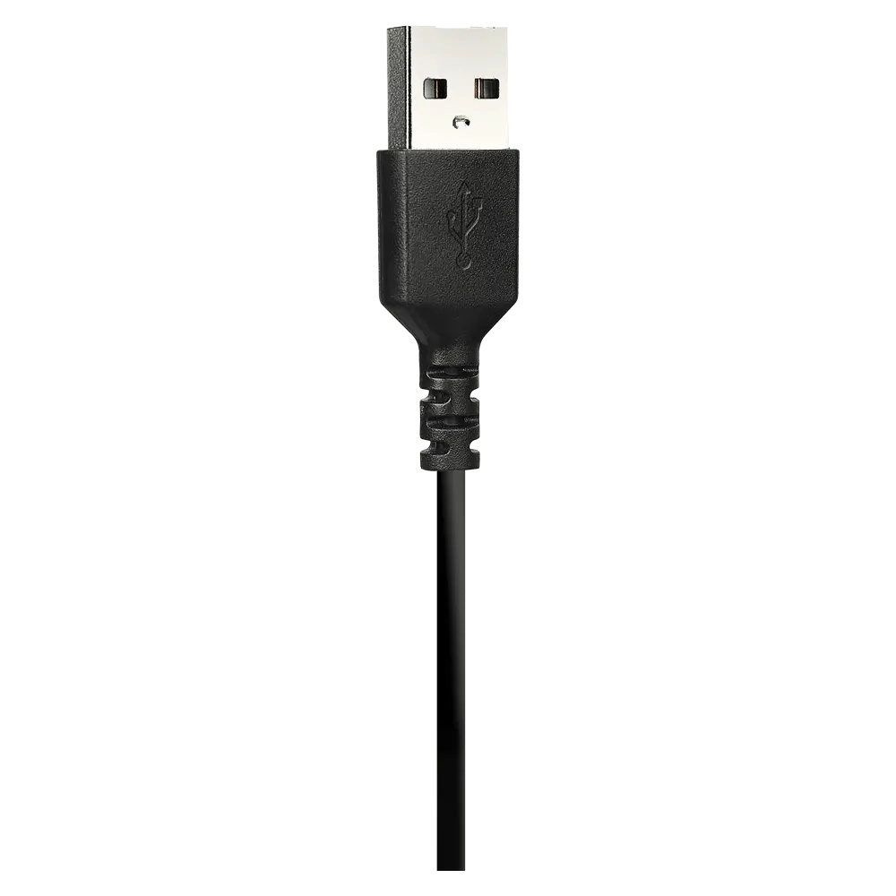 Zoom Image