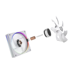 Zoom Image