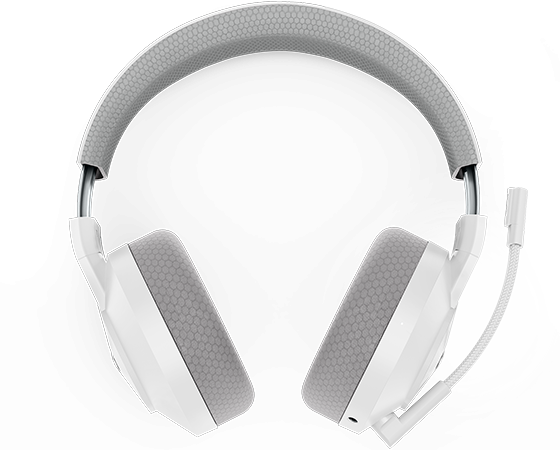 Zoom Image