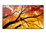 Zoom Image