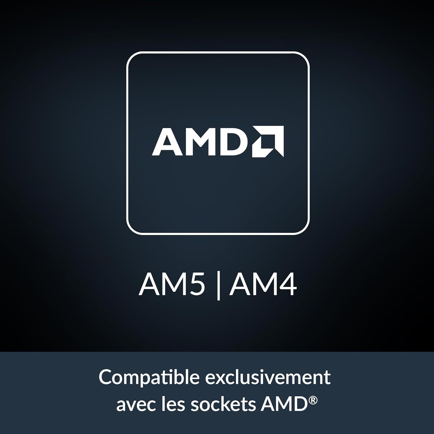 Zoom Image